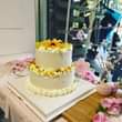 May be an image of cake, flower and indoor